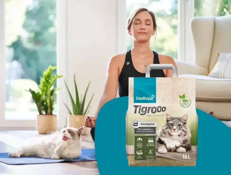 ZooRoyal Tigrooo - ekologické stelivo Banner s osobou cvičící na podložce v obývacím pokoji a kočkou ležící poblíž vedle balení ekologického steliva Tigrooo.