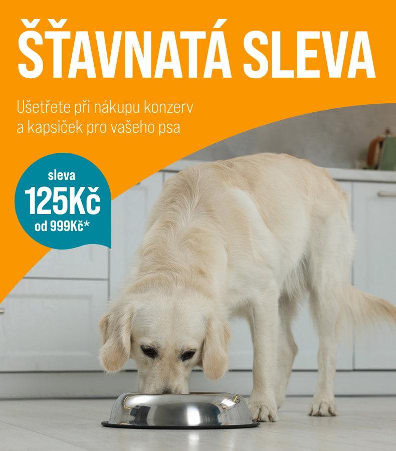 125 Kč sleva na konzervy a pamlsky Bíý pes žere z nerezové misky; na obrázku je také text o slevě na konzervy.