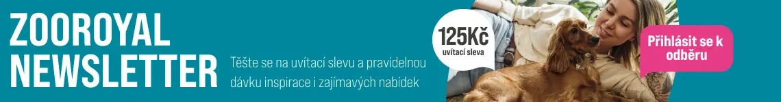Newsletter K newsletteru