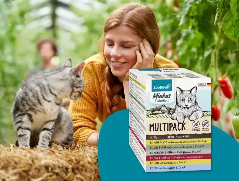 Minkas Naturkost - krmivo pro dospělé kočky Banner s kočkou sedící na slámě u osoby v interiéru se zelení a s balením multipacku ZooRoyal Minkas Naturkost.