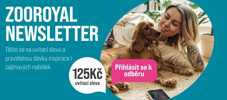 Newsletter K newsletteru