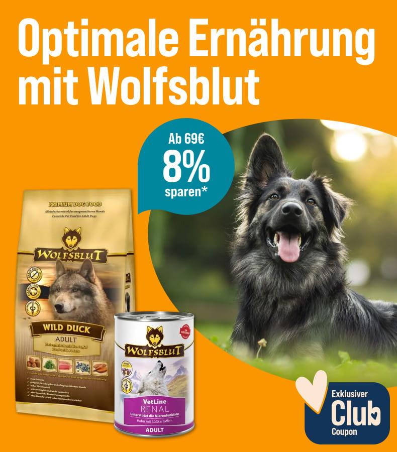 Spare 8% ab 69€ auf Wolfsblut Hundefutter Aktionsbanner für Hundefutter von Wolfsblut. Hund liegt auf einer Wiese, daneben Verpackungen von Trocken‑ und Nassfutter.
