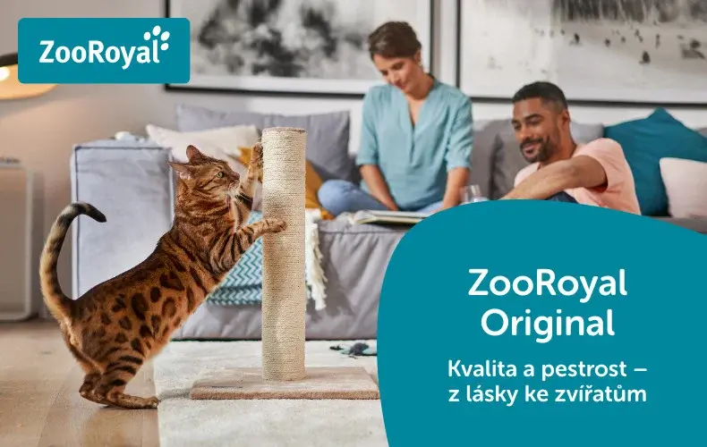 ZooRoyal Original - příslušenství pro kočky Banner s kočkou škrábající škrabadlo v obývacím pokoji a lidmi na pohovce.