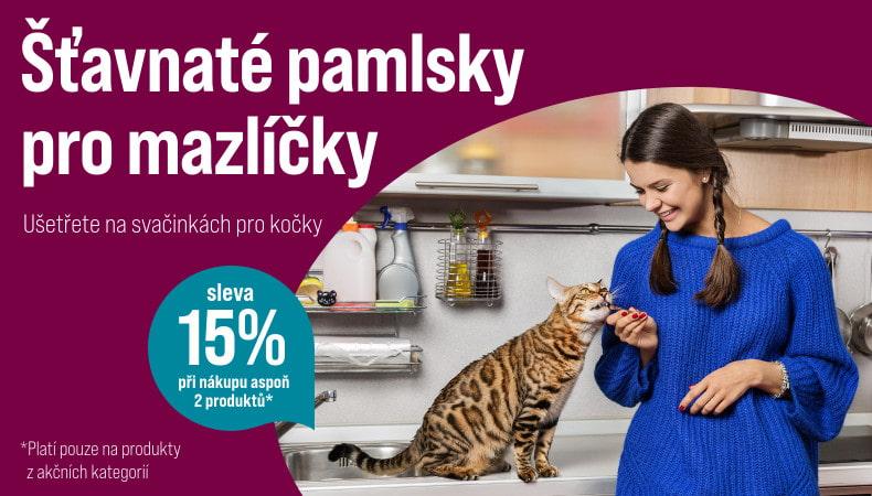 9017 Katze