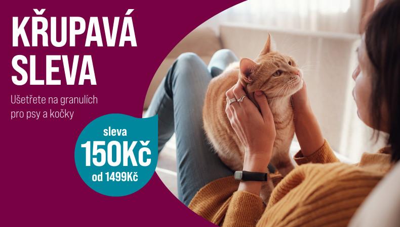9028 Katze