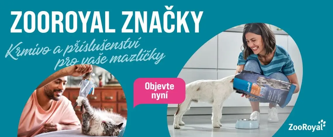 ZooRoyal značky Banner ZooRoyal s textem o krmivu a příslušenství pro mazlíčky a fotografiemi osoby krmící kočku a osoby sypající granule psovi.