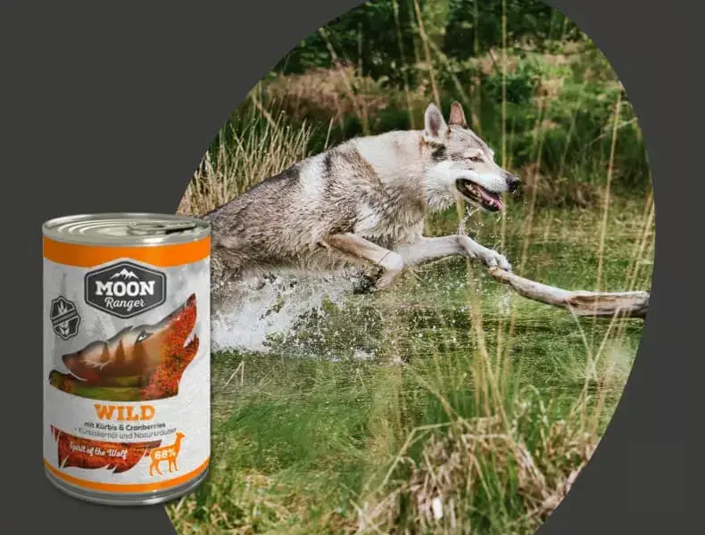 Moon Ranger - konzervy a kapsičky pro psy Banner s psem běžícím přes vodu venku vedle konzervy krmiva Moon Ranger Wild.