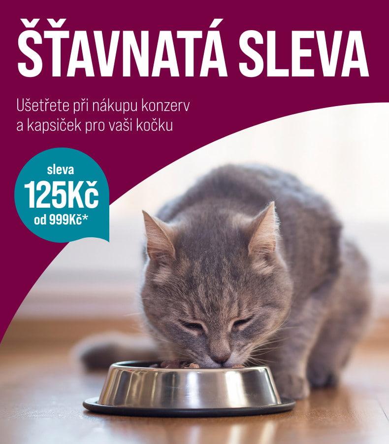 125 Kč sleva na konzervy a pamlsky Šedá kočka žere na zemi z nerezové misky; na obrázku je také text o slevě na konzervy.