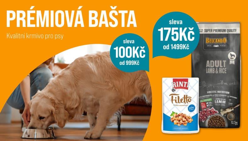 9013 Hund
