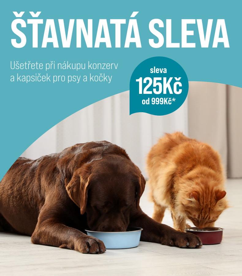 125 Kč sleva na konzervy a pamlsky Rezavá kočka a hědý pes žerou na zemi z nerezových misek; na obrázku je také text o slevě na konzervy.