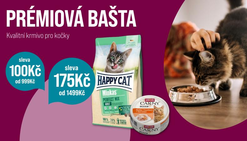 9013 Katze