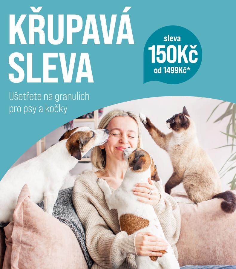 Sleva 150 Kč na granule a pamlsky Na obrázku sedí usměvavá osoba na pohovce a kolem ní jsou dva malí psi a kočka. Zvířata se k člověku tulí a působí přátelsky a hravě. V pozadí je pokoj s rostlinou a měkkým osvětlením.