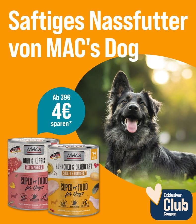 Spare 4€ ab 39€ auf Nassfutter von MAC's Dog Aktionsbanner für Hundenassfutter von MAC’s Dog. Hund sitzt auf einer Wiese, daneben Verpackungen von Nassfutter.