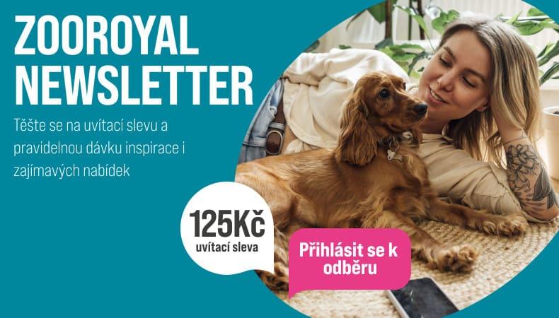 Newsletter K newsletteru