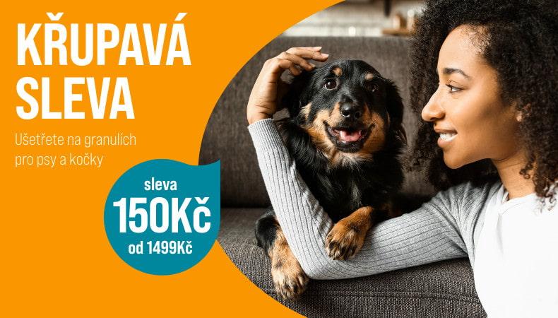 9028 Hund