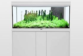 Aquarien Aquarien
