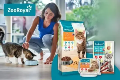 ZooRoyal Original - krmivo pro kočky Banner s osobou krmící kočku v interiéru vedle balení krmiva ZooRoyal.