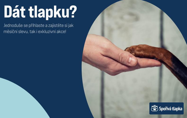 Spořivá tlapka - dát tlapku? Spořivá tlapka - dát tlapku?