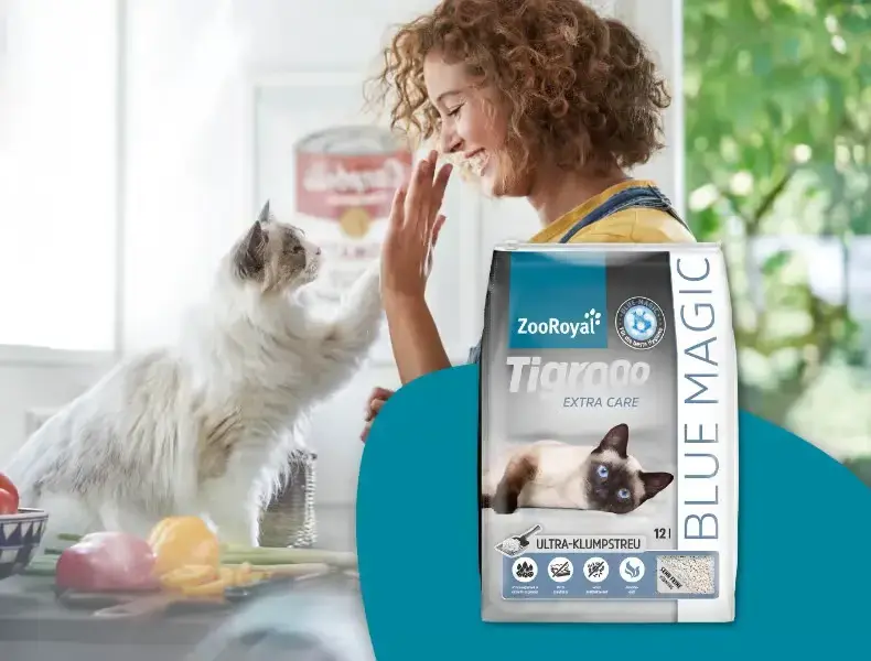 ZooRoyal Tigrooo - stelivo Extra Care Banner s kočkou sahající tlapkou k osobě v kuchyni vedle balení steliva Tigrooo Extra Care.