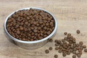 Hundefutter Hundefutter kaufen