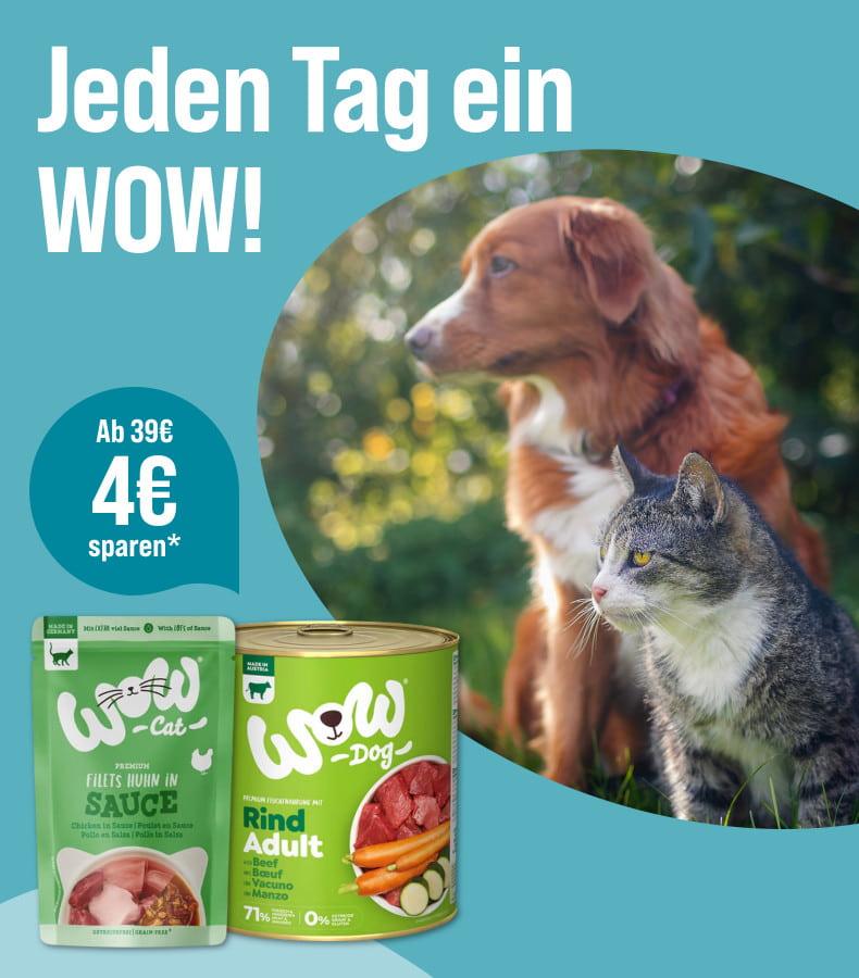 Spare 4€ ab 39€ auf Hunde- und Katzenfutter von WOW Aktionsbanner für Hunde‑ und Katzenfutter der Marke WOW. Hund und Katze sitzen nebeneinander vor einem natürlichen Hintergrund, daneben Verpackungen von Nassfutter.