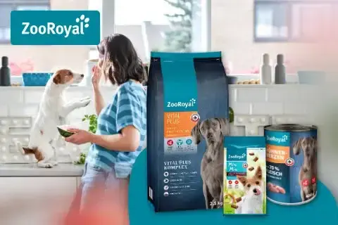 ZooRoyal Original - krmivo pro psy Banner s osobou podávající psovi pamlsek v kuchyni vedle balení krmiva ZooRoyal.