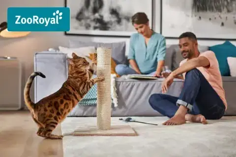 ZooRoyal Original - doplňky pro kočky Banner s osobami sedícími v obývacím pokoji a kočkou škrábající škrabadlo.