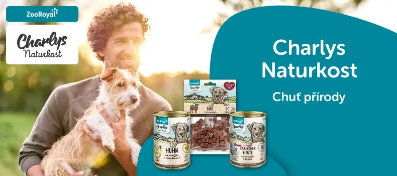 ZooRoyal Charlys Naturkost pro psy Banner ZooRoyal s osobou držící malého psa a zobrazenými produkty Charlys Naturkost.