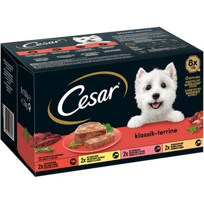 CESAR klasická paštika Terrine, 4 druhy CESAR klasická paštika Terrine, 4 druhy