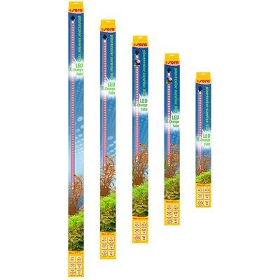 sera LED X-Change Tube osvětlení plantcolor sunrise sera LED X-Change Tube osvětlení plantcolor sunrise