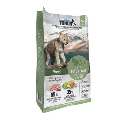 Tundra Dog Puppy Tundra Dog Puppy