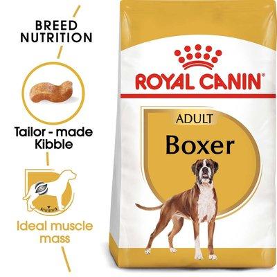 ROYAL CANIN Boxer Adult granule pro psy ROYAL CANIN Boxer Adult granule pro psy