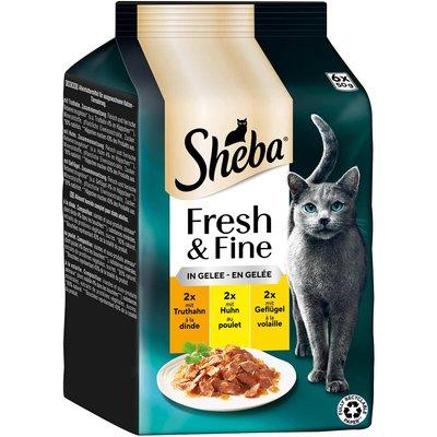 Sheba Fresh & Fine želé krůta, kuře & drůbež Sheba Fresh & Fine želé krůta, kuře & drůbež