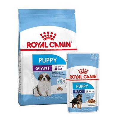 ROYAL CANIN Giant Puppy 3,5 kg + Maxi Puppy v omáčce 10× 140 g ROYAL CANIN Giant Puppy 3,5 kg + Maxi Puppy v omáčce 10× 140 g