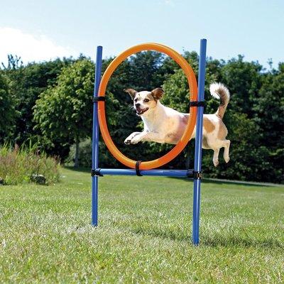 Trixie Dog Activity Agility kruh Trixie Dog Activity Agility kruh