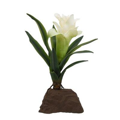 Lucky Reptile bromelie rostlina malá bílá 20 cm Lucky Reptile bromelie rostlina malá bílá 20 cm
