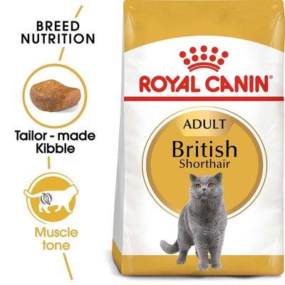 ROYAL CANIN British Shorthair granule pro britské krátkosrsté kočky ROYAL CANIN British Shorthair granule pro britské krátkosrsté kočky