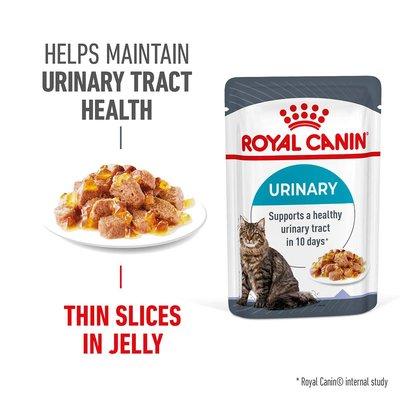 Royal Canin FCN Urinary Care želé Royal Canin FCN Urinary Care želé