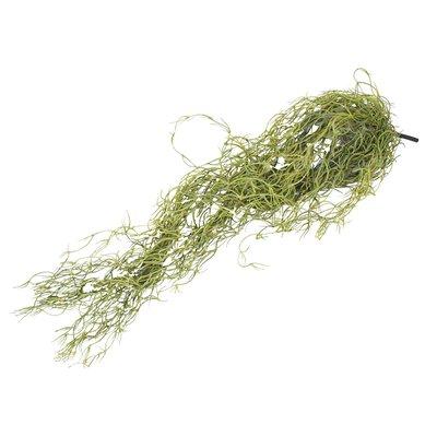 Lucky Reptile Louisanna mechový plast 50 cm Lucky Reptile Louisanna mechový plast 50 cm