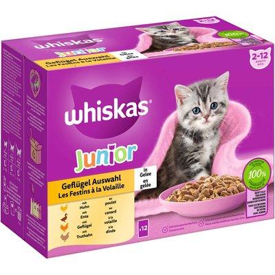 Whiskas Junior kombinované balení, výběr drůbežího masa v želé, 12 × 85 g Whiskas Junior kombinované balení, výběr drůbežího masa v želé, 12 × 85 g