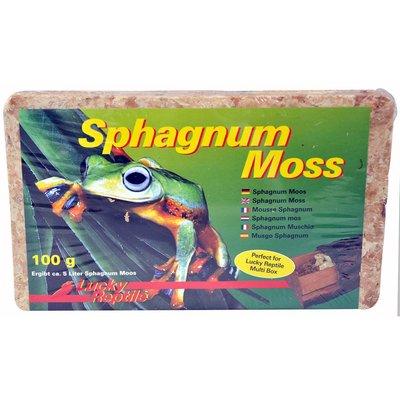 Lucky Reptile Sphagnum Moos 100 g Lucky Reptile Sphagnum Moos 100 g