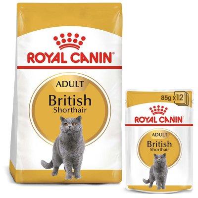 ROYAL CANIN ADULT British Shorthair 2 kg + kapsičky v omáčce 12× 85 g ROYAL CANIN ADULT British Shorthair 2 kg + kapsičky v omáčce 12× 85 g