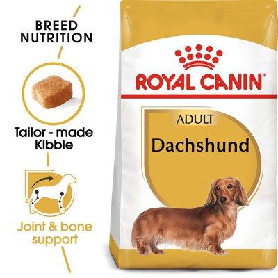 ROYAL CANIN Dachshund Adult ROYAL CANIN Dachshund Adult