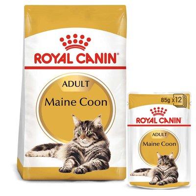 ROYAL CANIN ADULT Maine Coon 10 kg + kapsičky v omáčce 48× 85 g ROYAL CANIN ADULT Maine Coon 10 kg + kapsičky v omáčce 48× 85 g
