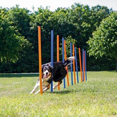 Trixie Dog Activity Agility slalomové tyčky Trixie Dog Activity Agility slalomové tyčky