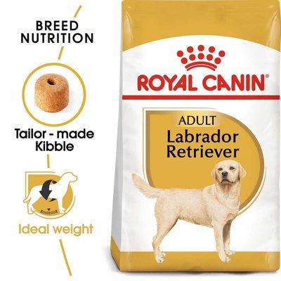 ROYAL CANIN Labrador Retriever ROYAL CANIN Labrador Retriever