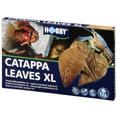 Hobby Catappa Leaves listy velikosti XL, 12 kusů Hobby Catappa Leaves listy velikosti XL, 12 kusů