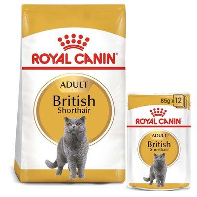 ROYAL CANIN ADULT British Shorthair 10 kg + kapsičky v omáčce 12× 85 g ROYAL CANIN ADULT British Shorthair 10 kg + kapsičky v omáčce 12× 85 g