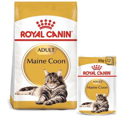ROYAL CANIN ADULT Maine Coon 2 kg + kapsičky v omáčce 12× 85 g ROYAL CANIN ADULT Maine Coon 2 kg + kapsičky v omáčce 12× 85 g