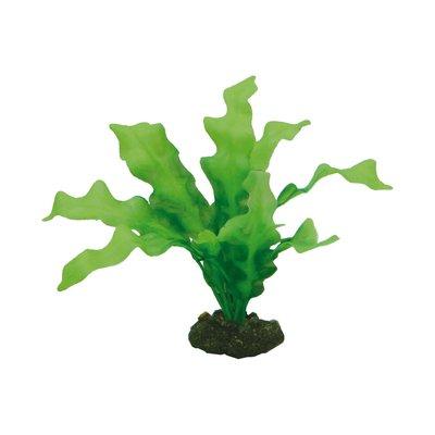 Hobby dekorace do akvária Echinodrus, 20 cm Hobby dekorace do akvária Echinodrus, 20 cm